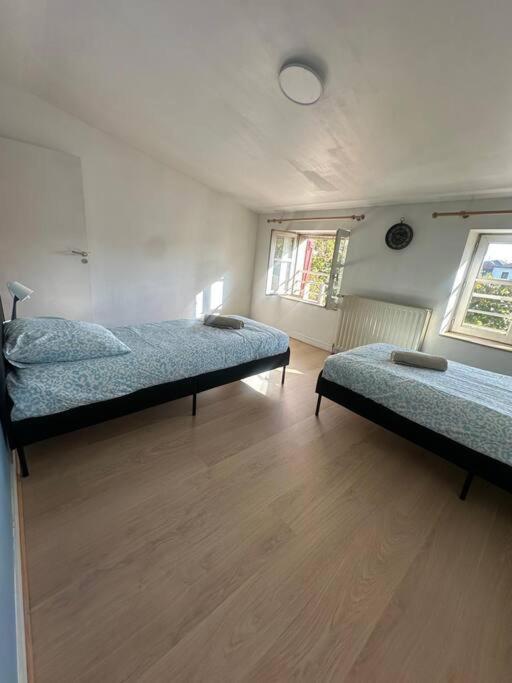 Appartamento Le Leon Cladel T3 Proche Parking Gratuit Montauban Esterno foto