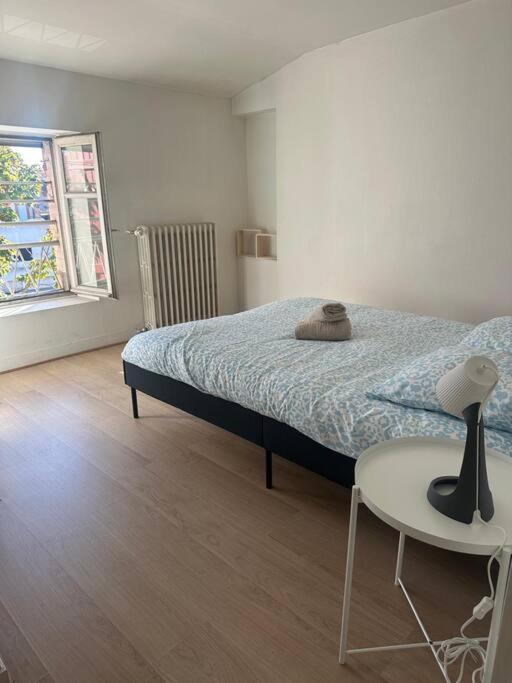 Appartamento Le Leon Cladel T3 Proche Parking Gratuit Montauban Esterno foto